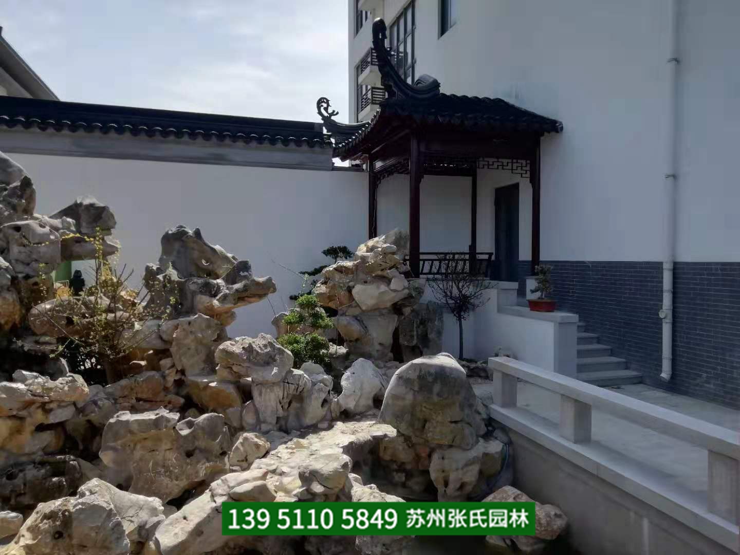 富贵竹水养应掌握如下要点