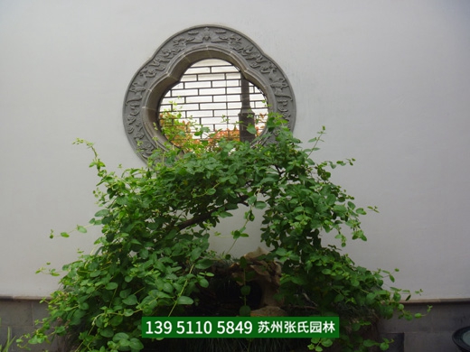 成功案例