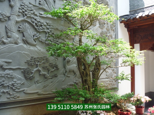 成功案例
