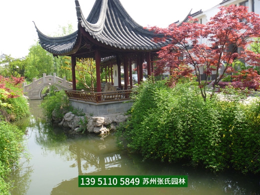 成功案例
