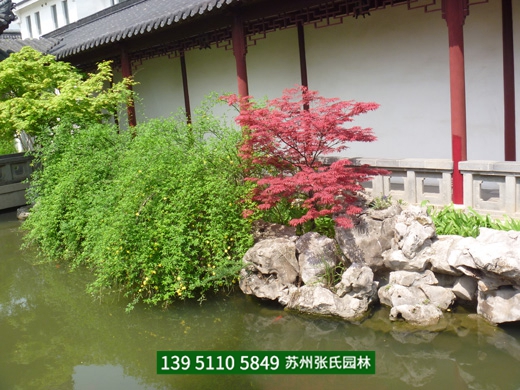 成功案例
